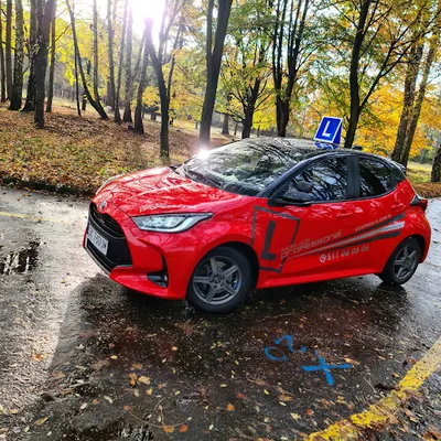 NAUKA JAZDY PROFESSIONAL - prawo jazdy, jazdy dodatkowe, korepetycje